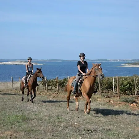 Semesterbostad Grofica- Beheizter Pool- Taverne- Strandnaehe By Interhome *