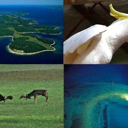 Grofica- Beheizter Pool- Taverne- Strandnaehe By Interhome *