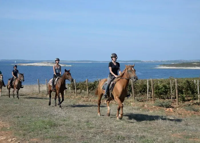 Vakantiehuis Grofica- Beheizter Pool- Taverne- Strandnaehe By Interhome *